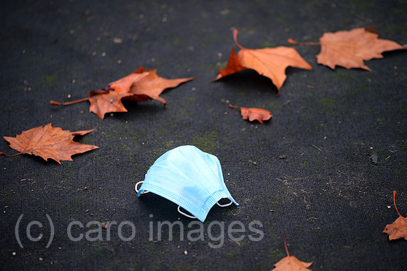 00S201101D612CARO.JPG