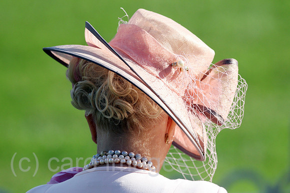 00S201003D466CARO.JPG