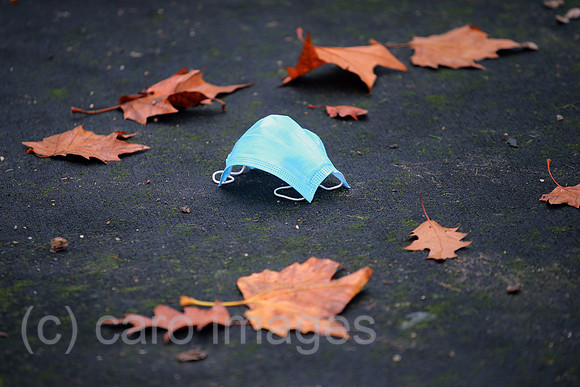 00S201101D611CARO.JPG