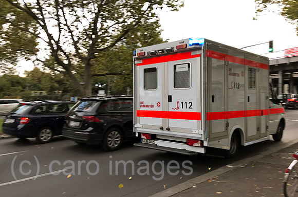 00S201012D517CARO.JPG