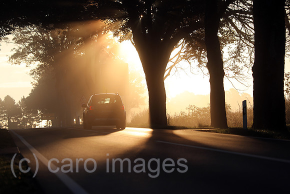 00S201017D535CARO.JPG