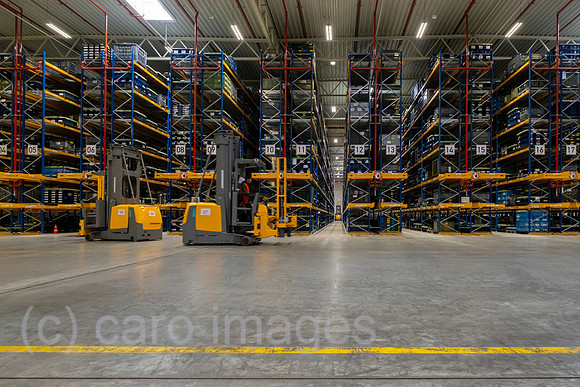 00A230502D244CAROEX.JPG