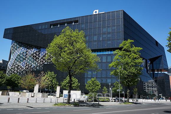 00R230508D065CAROEX.JPG