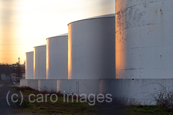 00S230215D214CAROEX.JPG