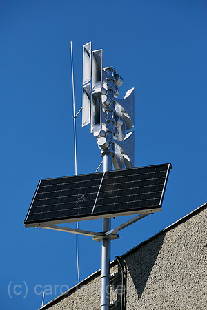 00R230904D096CAROEX.JPG
