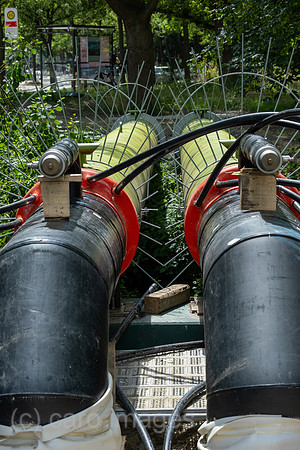 00A230627D28CAROEX.JPG