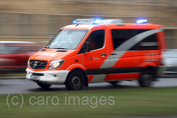 00S230306D218CAROEX.JPG