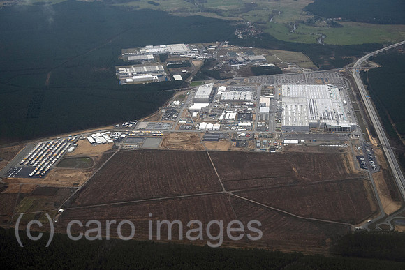 00S230326D349CAROEX.JPG
