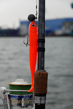 00S210714D048CAROEX.JPG