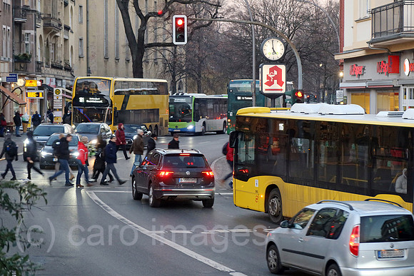 00S230208D208CAROEX.JPG