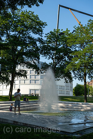 00A230708D031CAROEX.JPG