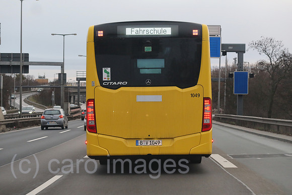 00S230112D162CAROEX.JPG