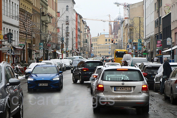 00S230206D202CAROEX.JPG