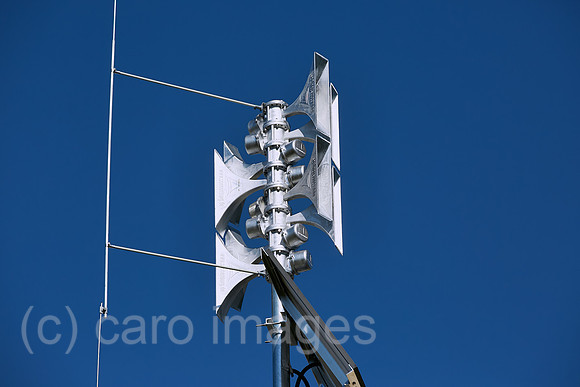 00R230904D098CAROEX.JPG