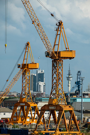 00A230630D276CAROEX.JPG