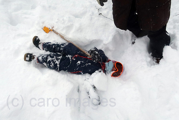 00S230202D196CAROEX.JPG
