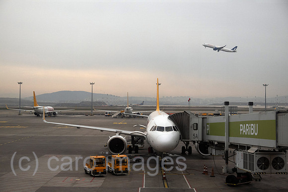 00S230326D348CAROEX.JPG
