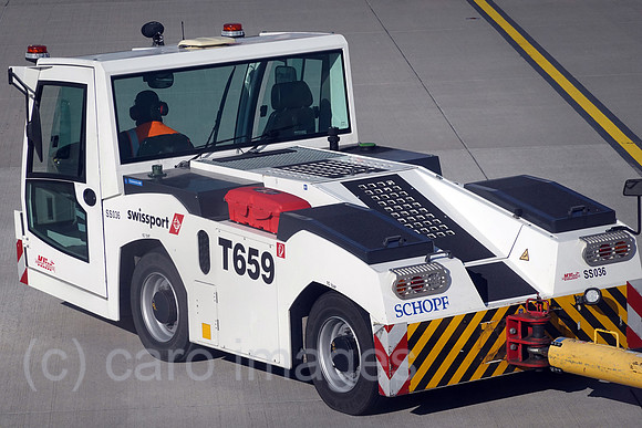 00S220613D060CAROEX.JPG