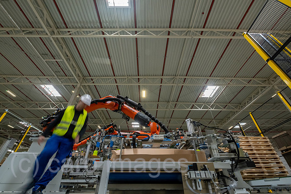 00A230502D393CAROEX.JPG