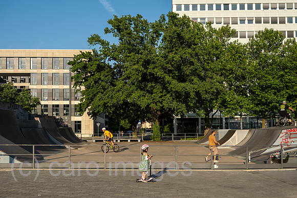 00A230708D075CAROEX.JPG