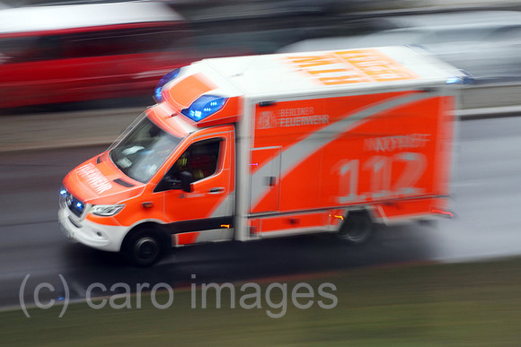 00S230313D242CAROEX.JPG