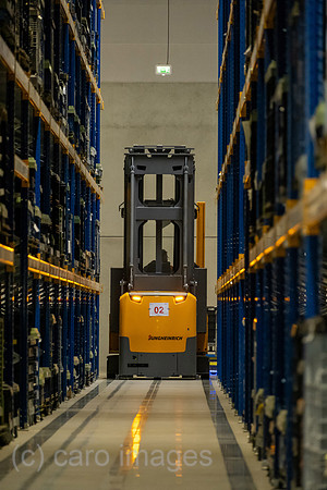 00A230502D248CAROEX.JPG