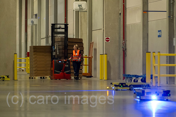 00A230502D352CAROEX.JPG