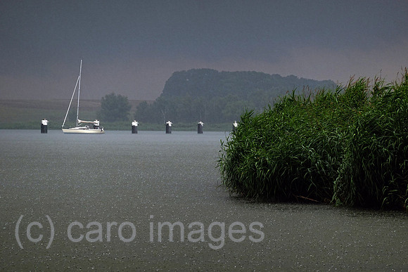 00S210714D047CAROEX.JPG