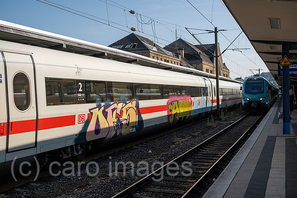 00A230708D016CAROEX.JPG