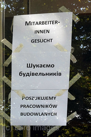 00S220811D076CAROEX.JPG