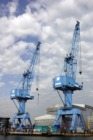 00S210714D030CAROEX.JPG