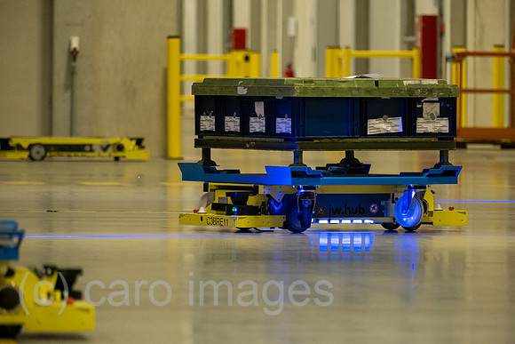 00A230502D342CAROEX.JPG