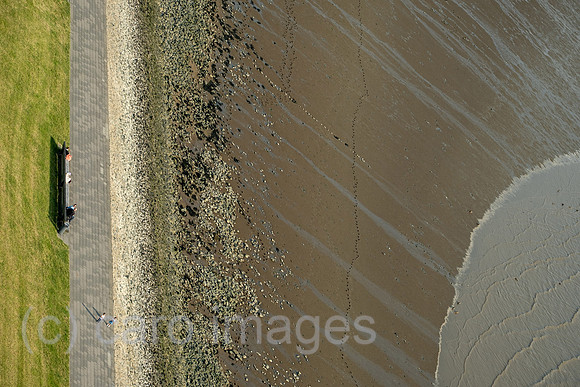 00A230630D362CAROEX.JPG