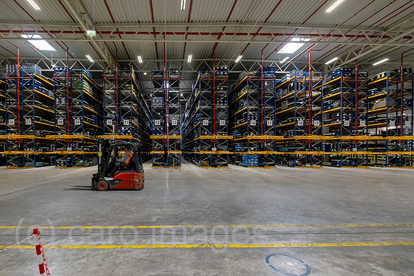 00A230502D208CAROEX.JPG