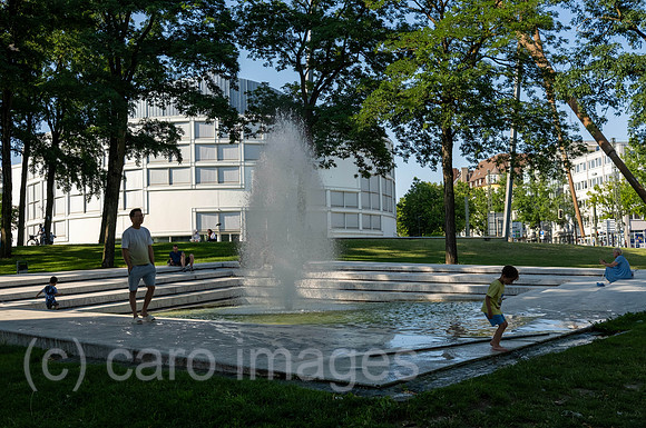 00A230708D029CAROEX.JPG