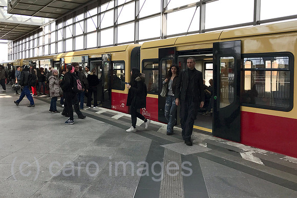 00S230322D291CAROEX.JPG