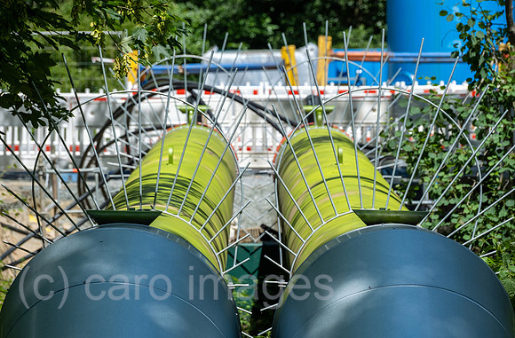 00A230627D26CAROEX.JPG