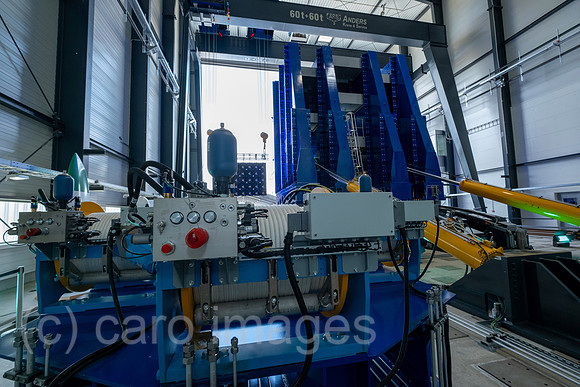 00A230630D183CAROEX.JPG