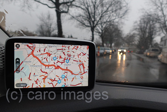 00S230314D253CAROEX.JPG