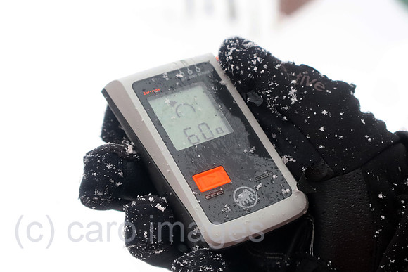 00S230202D190CAROEX.JPG