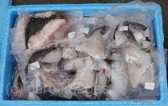 00S220414D056CAROEX.JPG