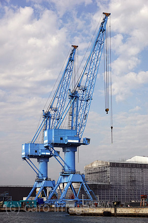 00S210714D027CAROEX.JPG
