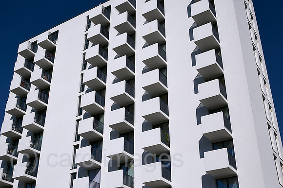 00R230904D126CAROEX.JPG