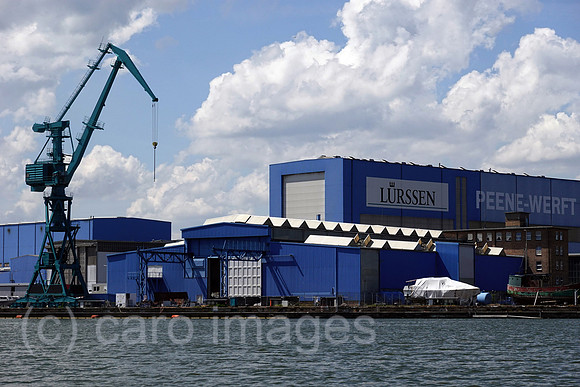 00S210713D015CAROEX.JPG