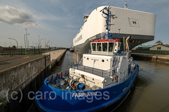 00A230630D308CAROEX.JPG