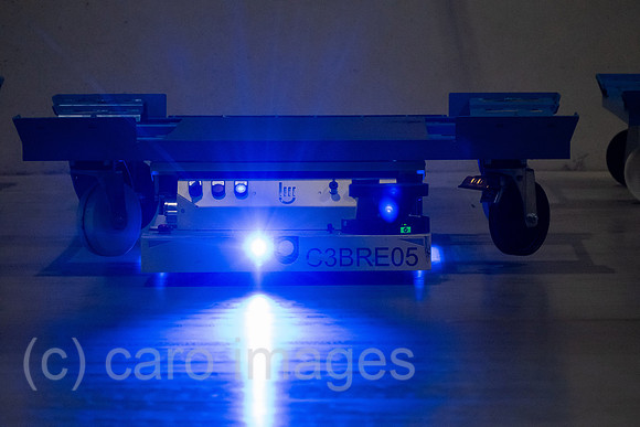 00A230502D310CAROEX.JPG