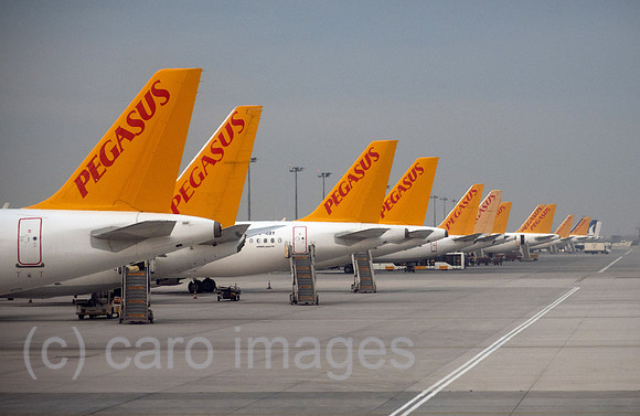 00S230326D345CAROEX.JPG
