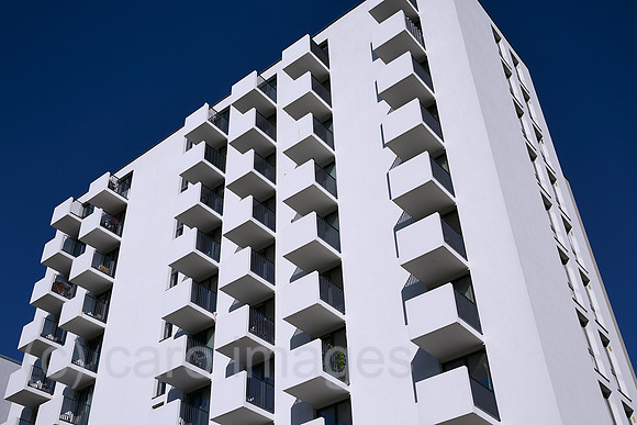 00R230904D125CAROEX.JPG