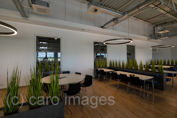 00A230502D411CAROEX.JPG