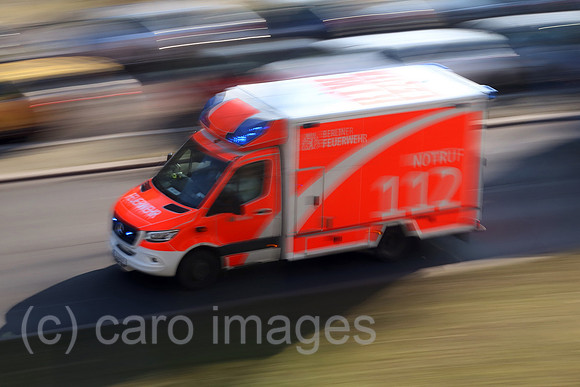00S230216D215CAROEX.JPG